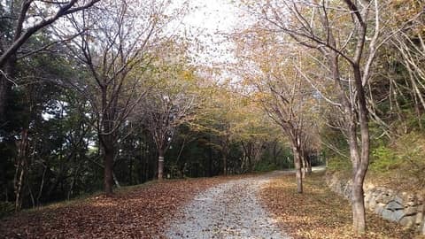 섬&섬길 거제역사문화탐방길 사진 1