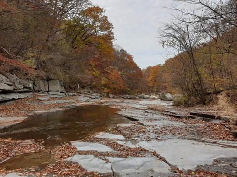 가지산 쇠점골 계곡길 사진 1