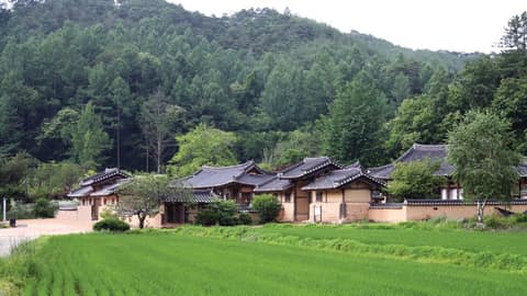 안동 선비순례길 3코스 청포도길 사진 1