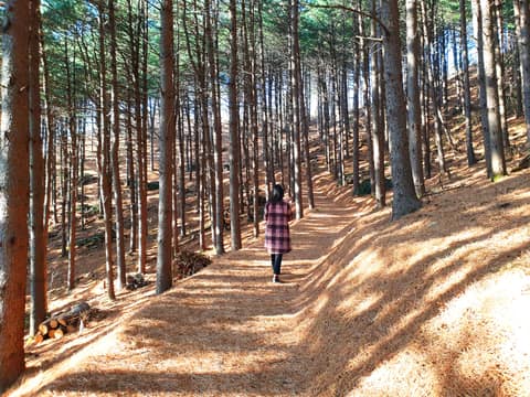 치악산둘레길 11코스 한가터길 사진 1