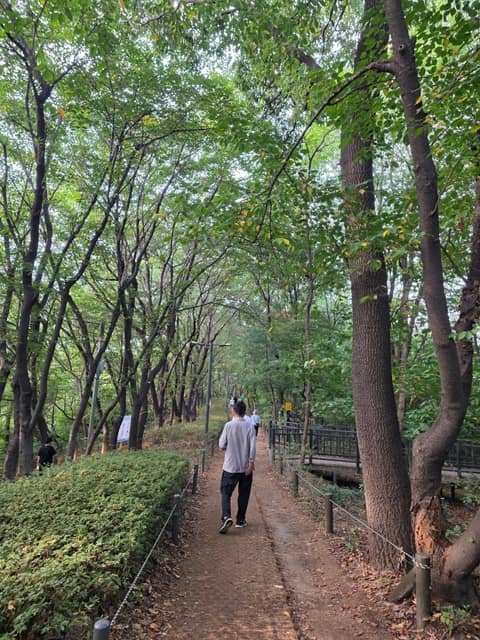 배봉두메십리길 사진 2