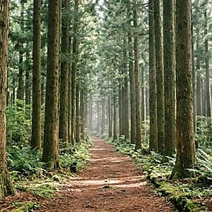 반포 수변길 사진 1