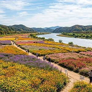 반포 수변길 사진 3