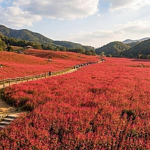 반포 수변길 사진 5
