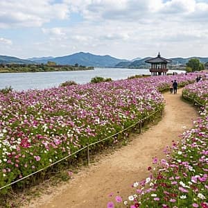 반포 수변길 사진 8