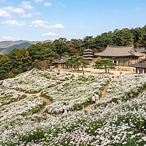 반포 수변길 사진 10