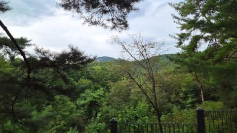 불암산 설화길 사진 6