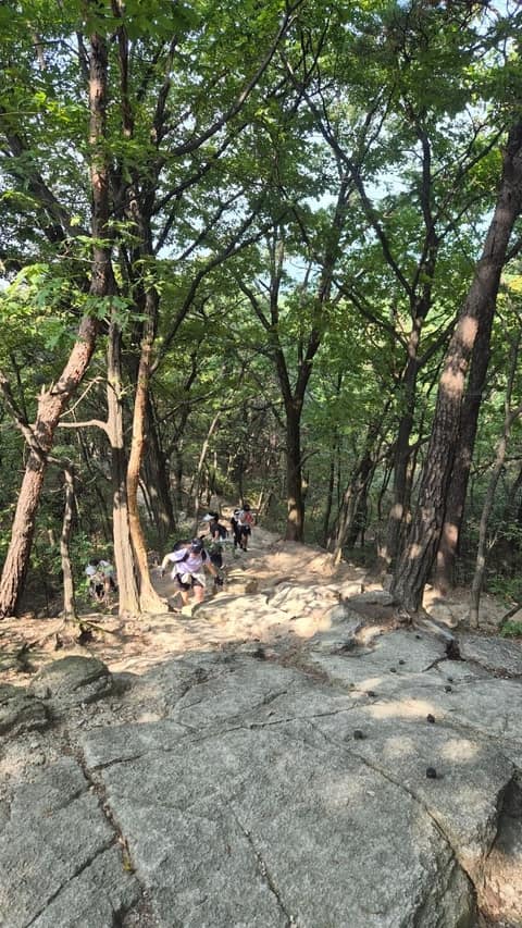 불암산 설화길 사진 9