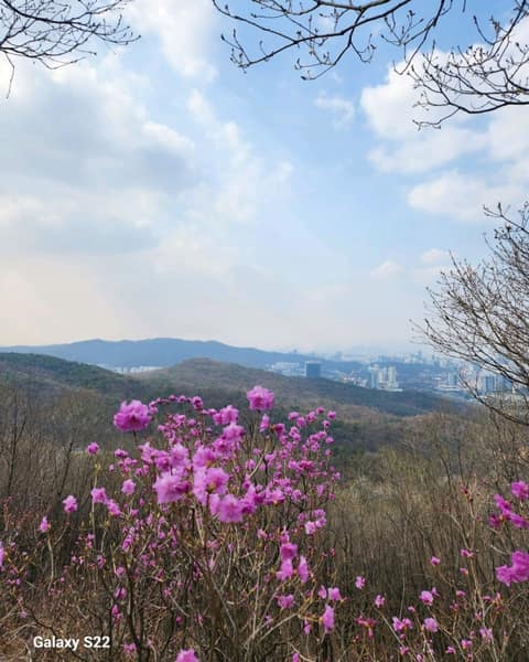 청계산 원터골 산책길 사진 3