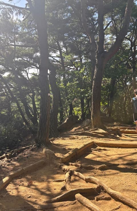 청계산 원터골 산책길 사진 5