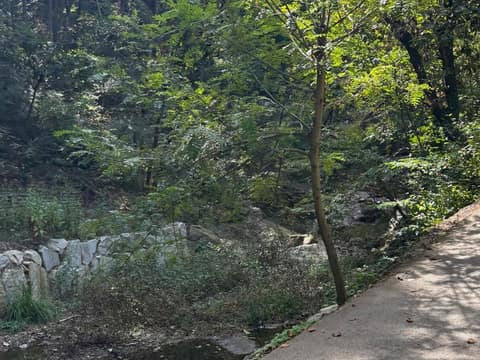 청계산 원터골 산책길 사진 6
