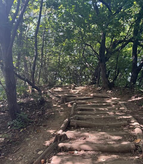청계산 원터골 산책길 사진 7