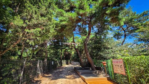 천장산 산책로 사진 1