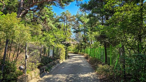 천장산 산책로 사진 2