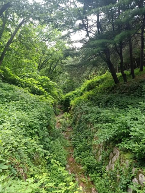 천장산 산책로 사진 3