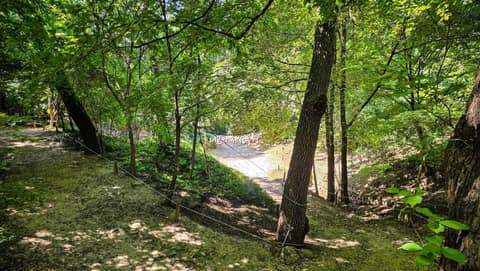 천장산 산책로 사진 6