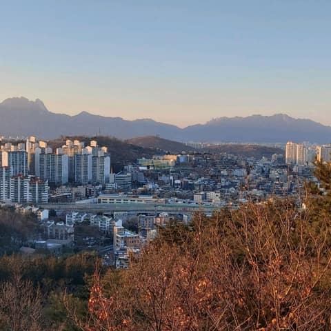 천장산 산책로 사진 7
