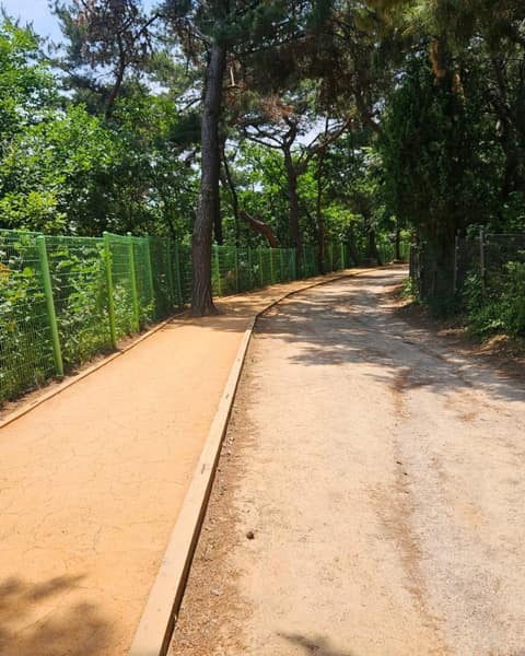천장산 산책로 사진 9
