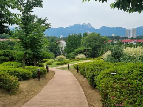 초안산 생태 탐방로 사진 3