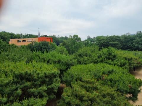 초안산 생태 탐방로 사진 7