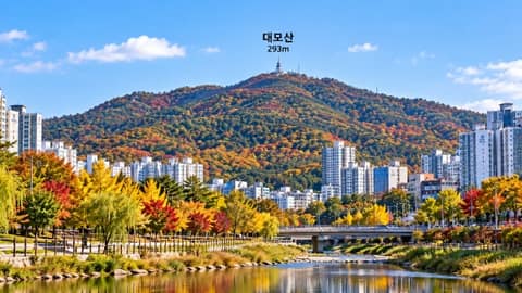 대모산 숲이 좋은 길 사진 7