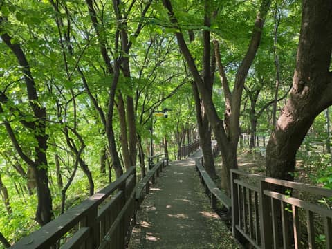 개운산공원길 사진 1