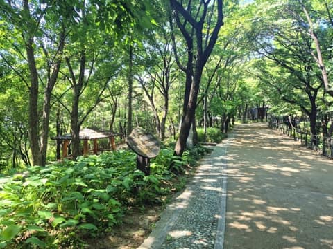 개운산공원길 사진 2