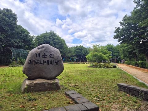 개운산공원길 사진 7