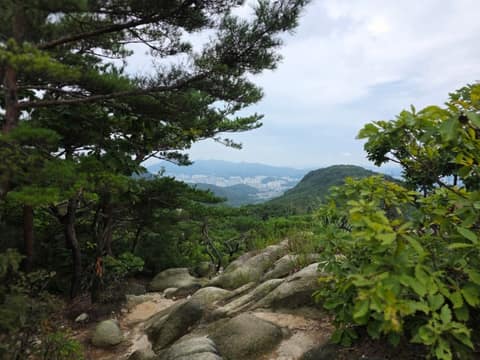 호암산 능선길 사진 2