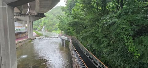 홍제천 사진 3