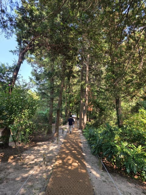 홍릉숲 사진 1