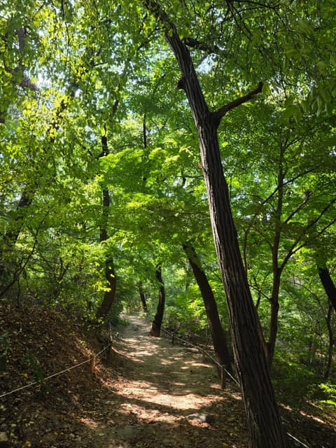 홍릉숲 사진 2