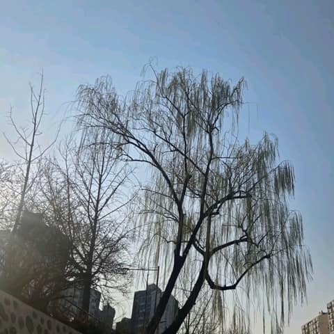중랑천 탐방로 사진 7