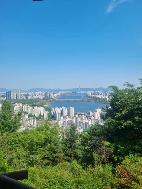 매봉산 전망대 산책길 사진 2