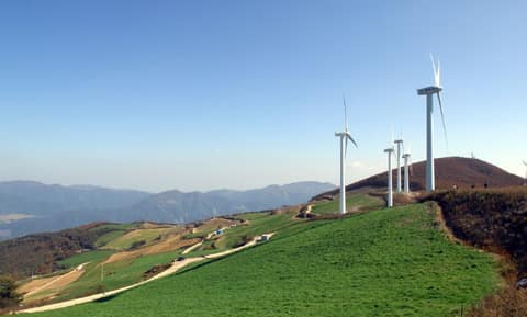 매봉산 전망대 산책길 사진 3