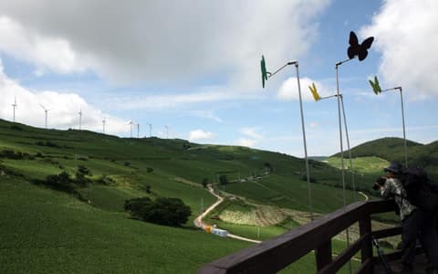 매봉산 전망대 산책길 사진 7