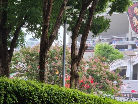 매봉산 전망대 산책길 사진 8