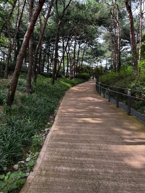 오동공원 공원길 사진 1