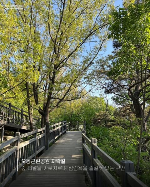 오동공원 공원길 사진 2