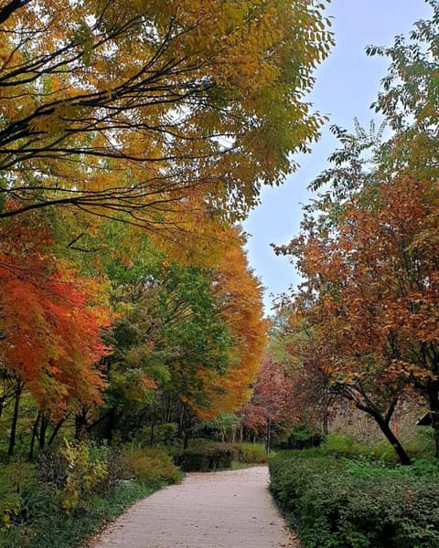 오동공원 공원길 사진 3
