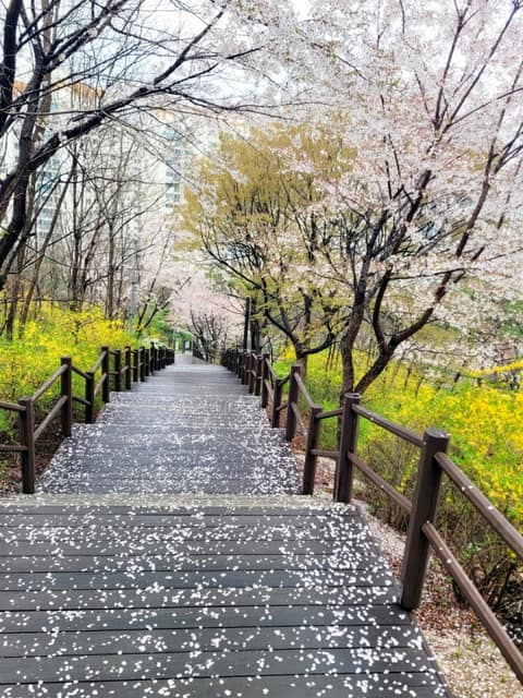 오동공원 공원길 사진 4