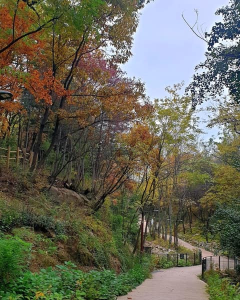 오동공원 공원길 사진 5