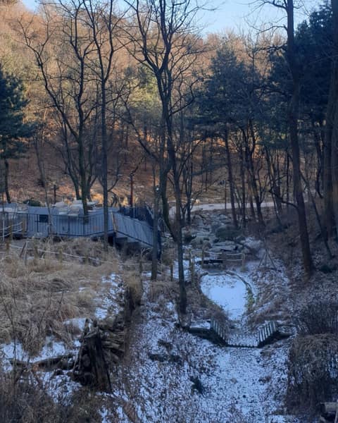 오동공원 공원길 사진 8