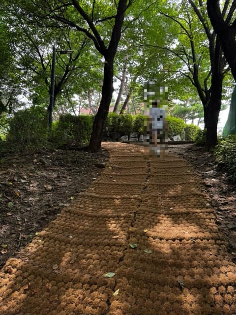 오동공원 공원길 사진 10