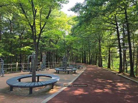 오금공원 산책길 사진 1