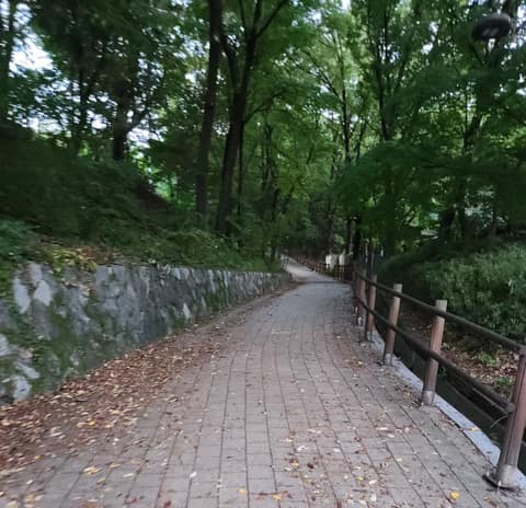 오금공원 산책길 사진 3