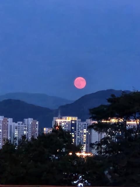 오금공원 산책길 사진 7