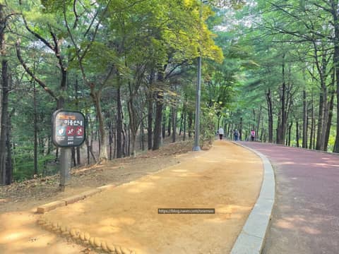 오금공원 산책길 사진 8