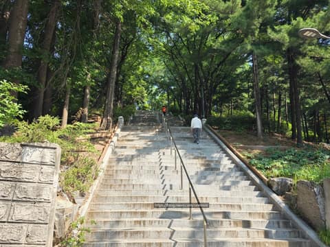 오금공원 산책길 사진 9