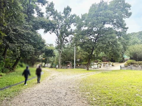 생태공원 둘레길 사진 4